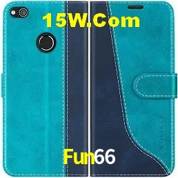 Sistemas de Segurança Fun66